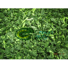 New Crop of IQF Frozen Chopped Spinach Vegetables